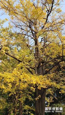 深秋季節(jié)