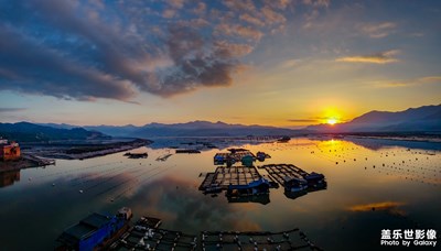 【為中國添色】《大美霞浦，多彩灘涂》