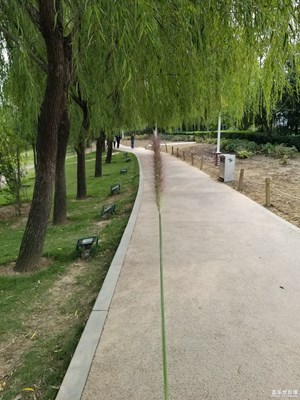 鄭州綠博園