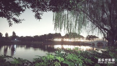 夜拍
