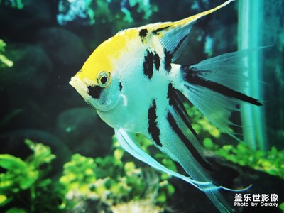 上海動物園