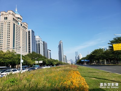 深南大道
