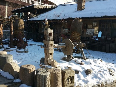【緯度的色彩】+冬季之點(diǎn)點(diǎn)花白