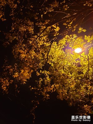 涼涼夜色