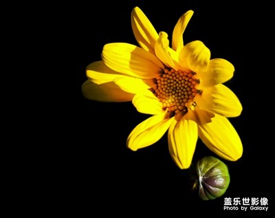學(xué)習中……