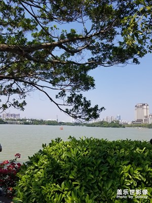 【2018回首】+風(fēng)景一路走過(guò)