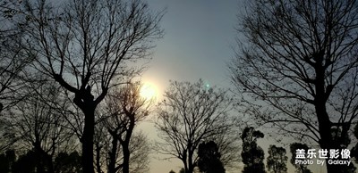 冬天的太陽