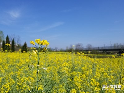 【回首2018】+用三星記錄身旁的美景