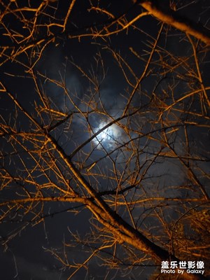 夜色涼涼