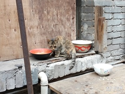【回首2018】2018年，走過的那些地方