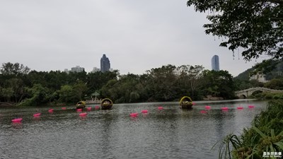 東湖公園花展