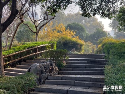 靜