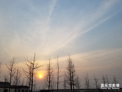 元旦隨手拍！
