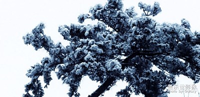 雪