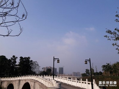 【2019嗨翻新年】 冬日暖陽漫步