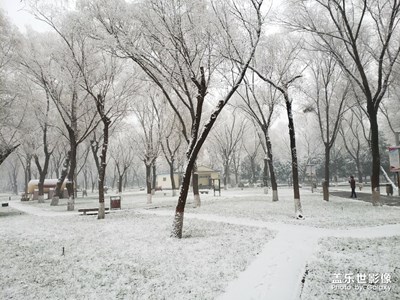2019，初雪拾集