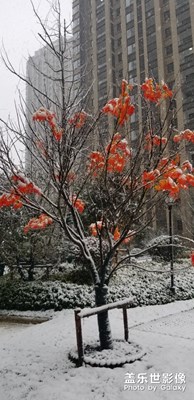 2019年第一場(chǎng)雪