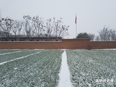 【開門紅】+紅磚墻、白雪、小麥苗