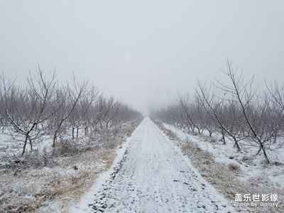 家鄉(xiāng)雪景！