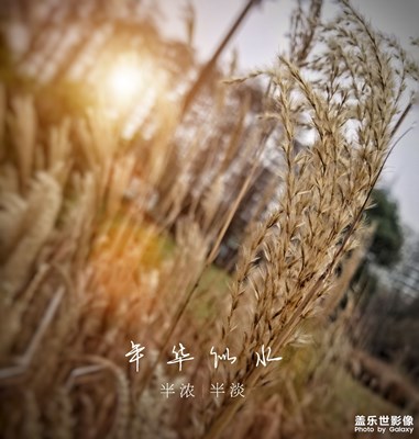 隨拍