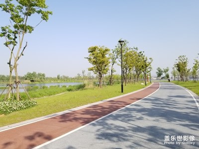 路