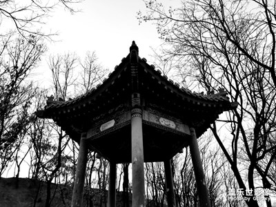 炮臺(tái)山公園隨手拍