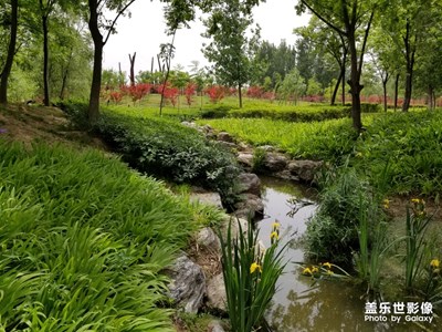 三星S8+  浐灞濕地公園隨手拍(非專(zhuān)業(yè))