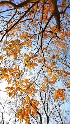 【色彩】+繁花似景的祖國