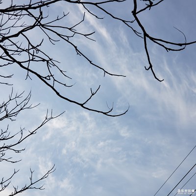 中午的天空