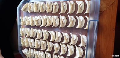 中午吃了餃子