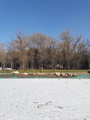 【春的暢想】+冬末初春的公園