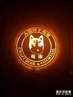 大隱飲于茍市
