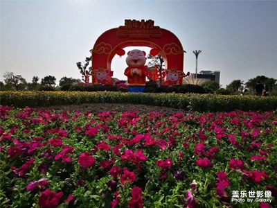 歡喜迎新春2