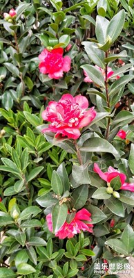 2018最后拍
