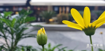挺好