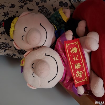 豬年大吉