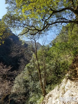 西昌螺髻山九十九里溫泉