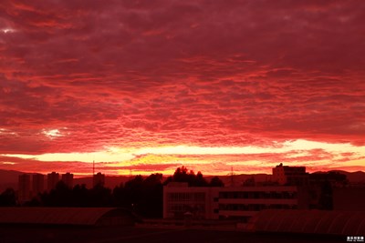 夕陽無限美。并非近黃昏