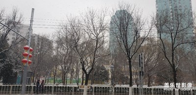 小雪