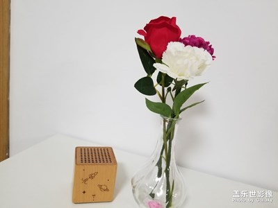 春，原來(lái)一直都在……