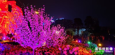 東莞的夜