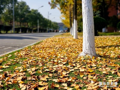 秋日回憶
