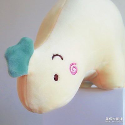 這個叫啥子呀