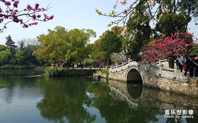 春到蠡園