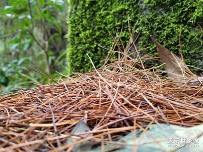 登山小記