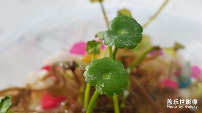 春暖花開