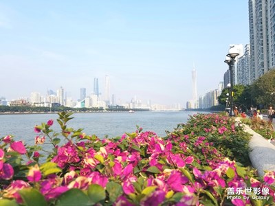 【愛上一座城】+羊城，來了就不想走