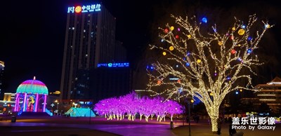【愛上一座城】+鹿城夜色