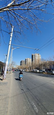 路邊隨手拍