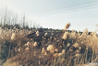 那歲月